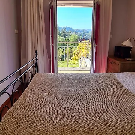 Na Bukowej Widokowy Z Duzym Tarasem * Wisła